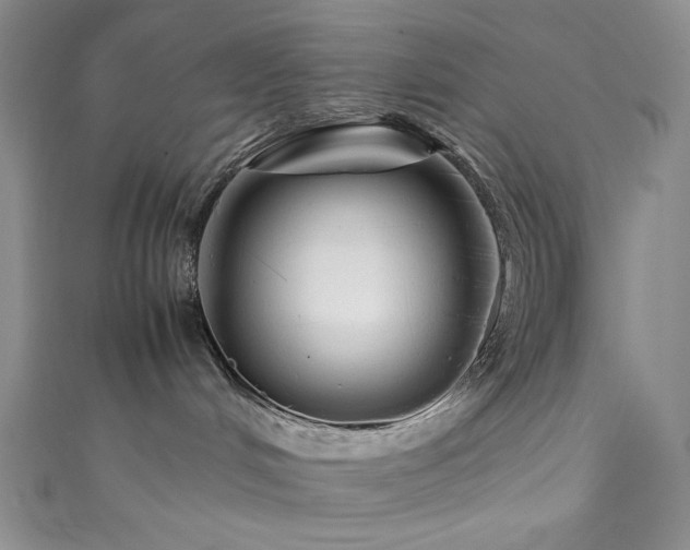 X0000111840048200907231417