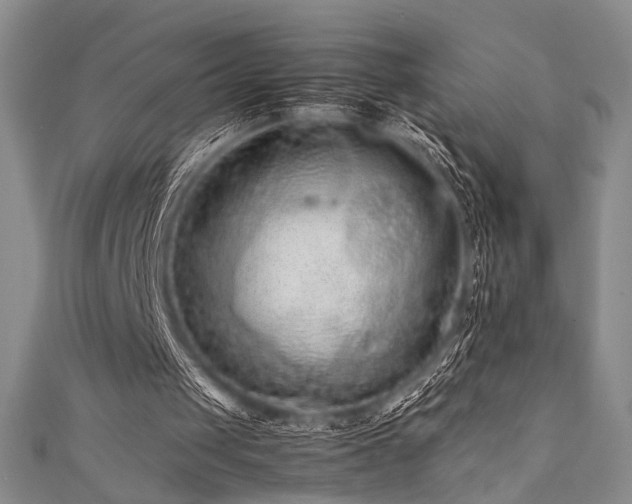 X0000111840049200907231416