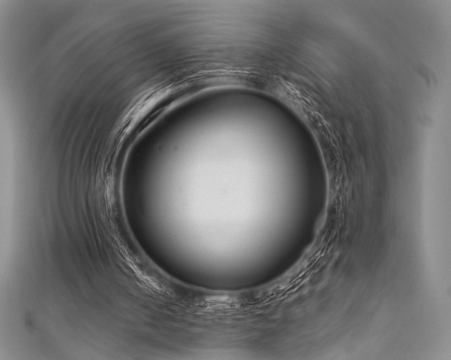 X0000111840050200907231416