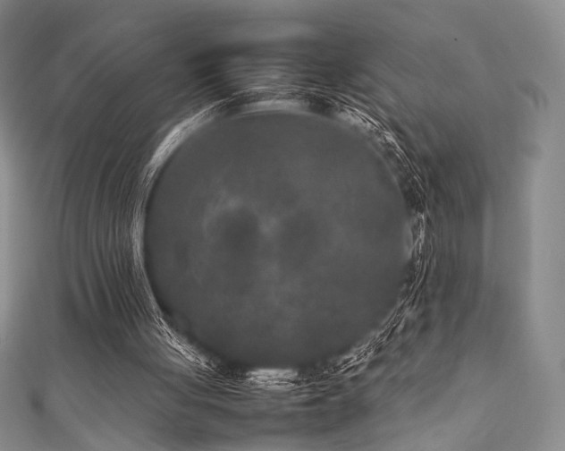 X0000111840051200907231416