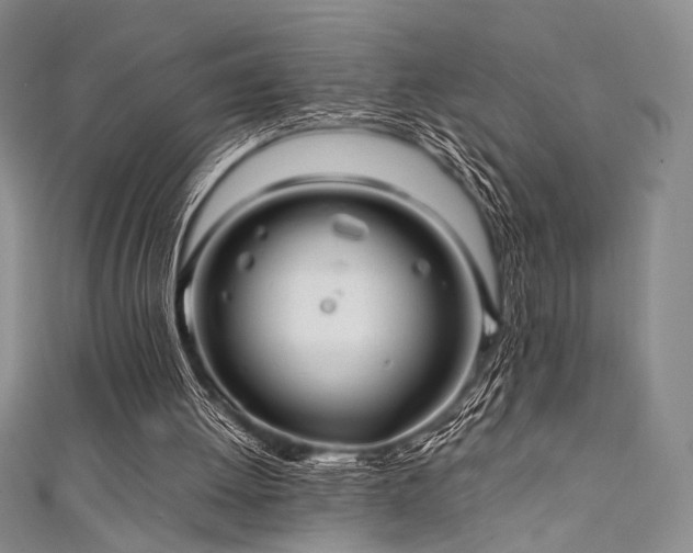 X0000111840052200907231416