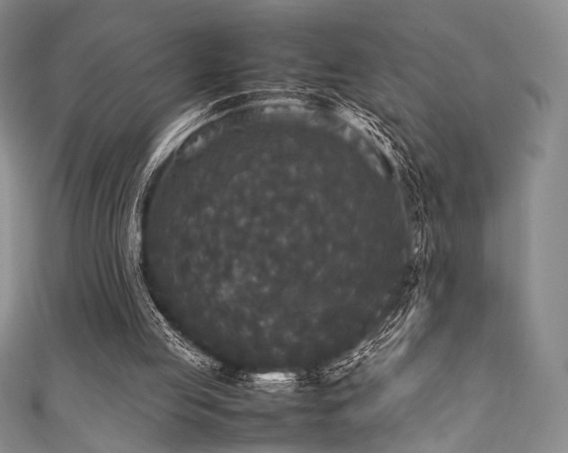 X0000111840053200907231416