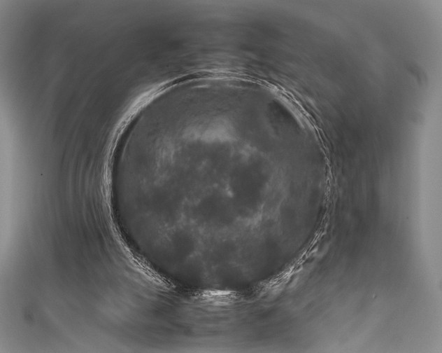 X0000111840055200907231416