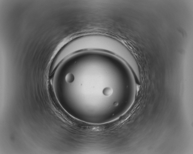 X0000111840056200907231416