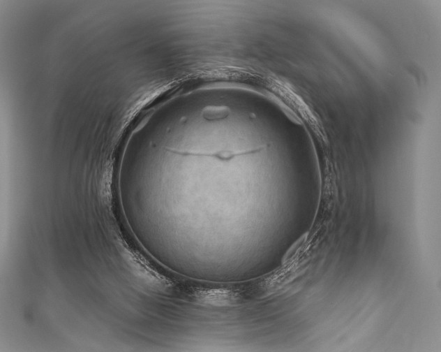 X0000111840058200907231416