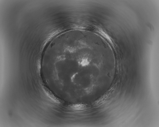 X0000111840059200907231416