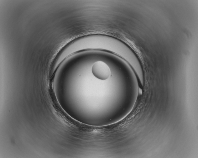 X0000111840060200907231416