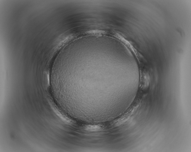 X0000111840061200907231416