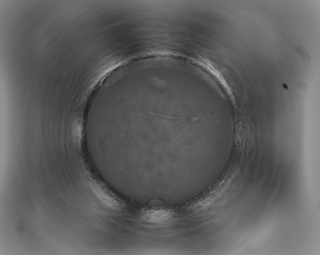 X0000111840063200907231416