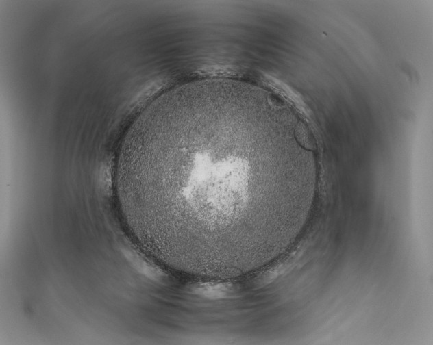 X0000111840065200907231416