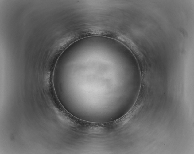 X0000111840066200907231416