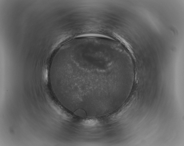 X0000111840067200907231416