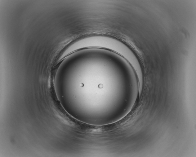 X0000111840068200907231416