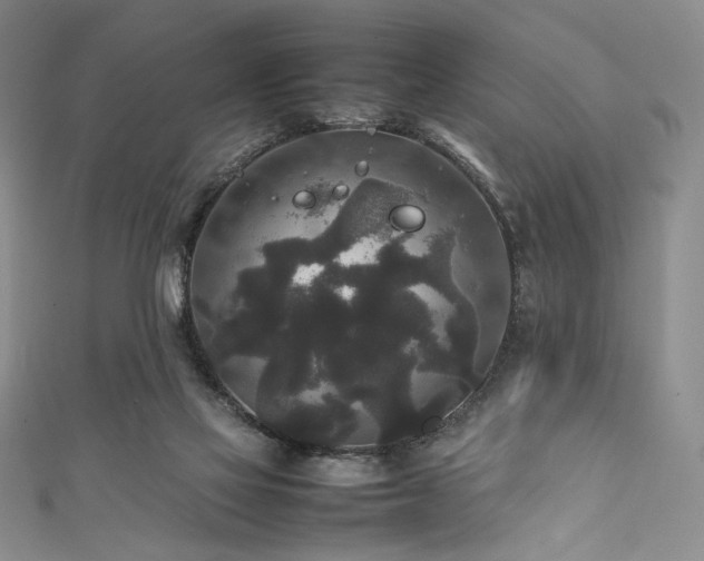 X0000111840069200907231416