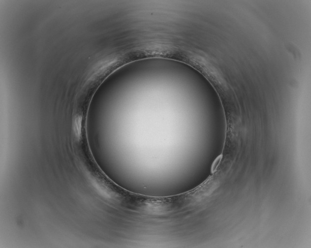 X0000111840070200907231416