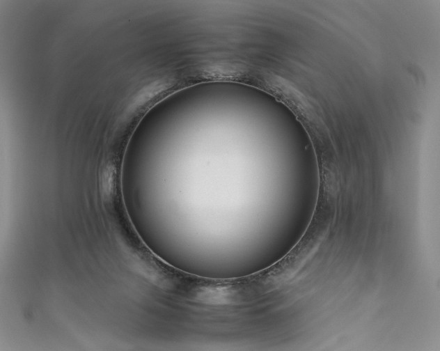 X0000111840071200907231416