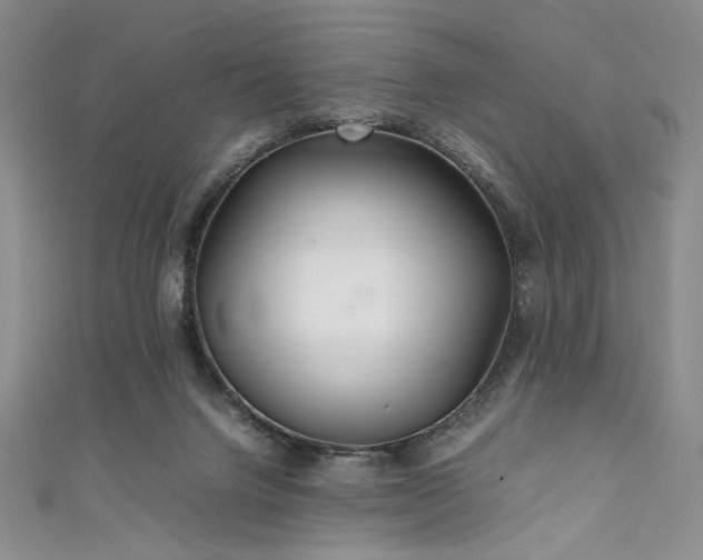 X0000111840072200907231416