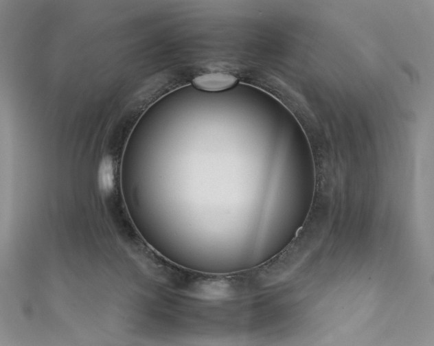 X0000111840075200907231416