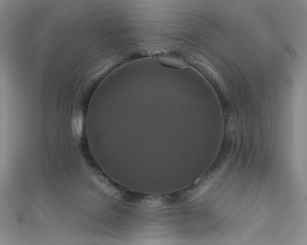 X0000111840076200907231416