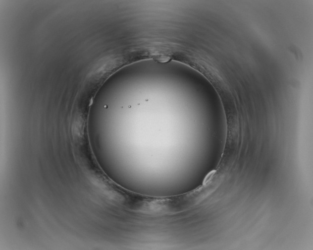 X0000111840078200907231416