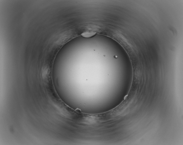 X0000111840079200907231417