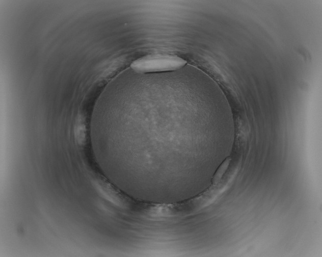 X0000111840080200907231417