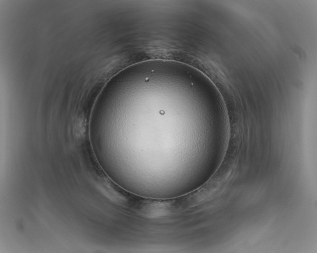 X0000111840081200907231417