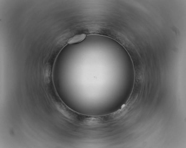 X0000111840082200907231417