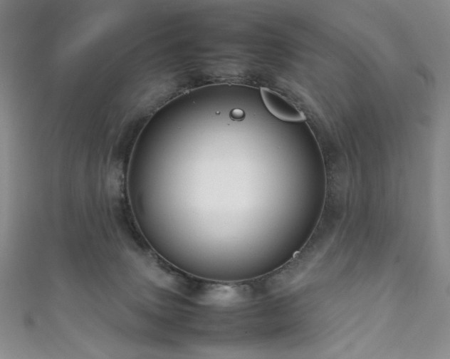 X0000111840083200907231417