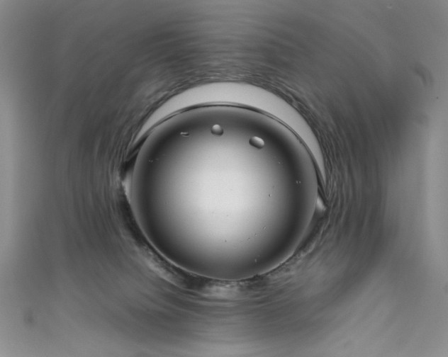 X0000111840084200907231417