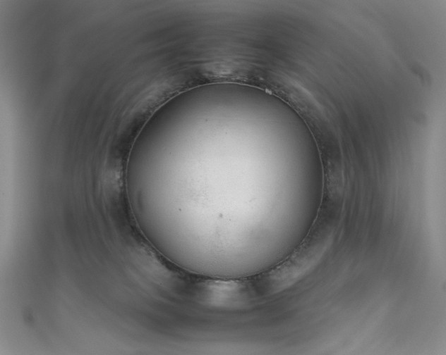 X0000111840085200907231417