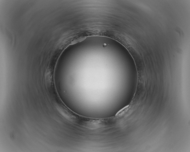 X0000111840086200907231417