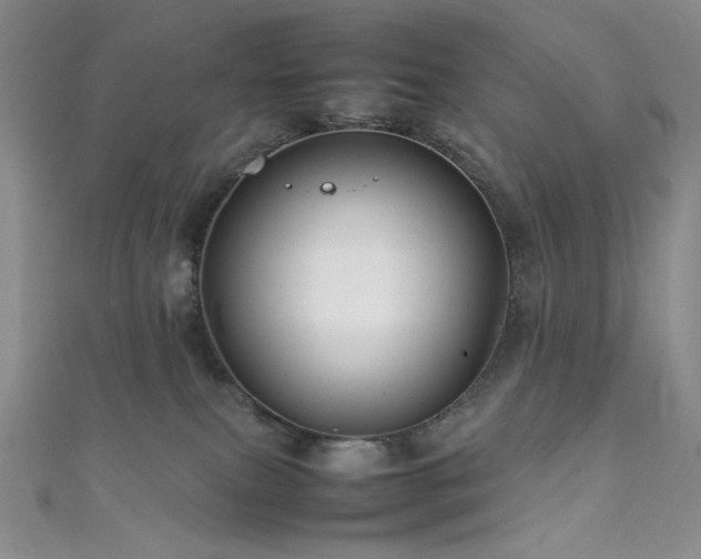 X0000111840087200907231417