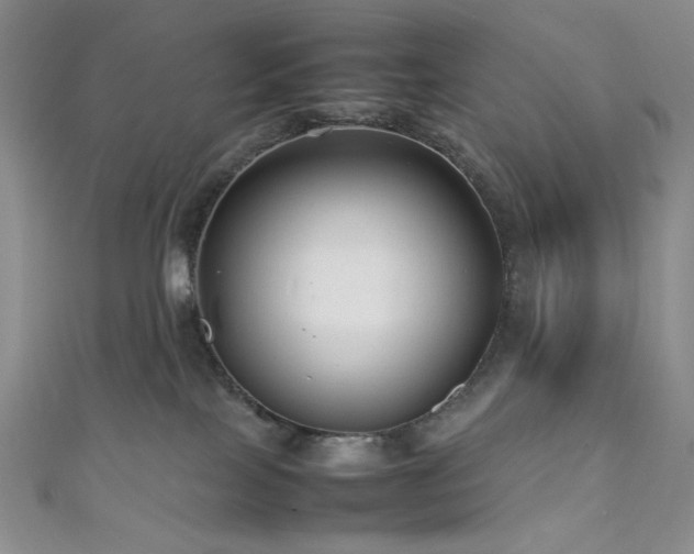 X0000111840089200907231417