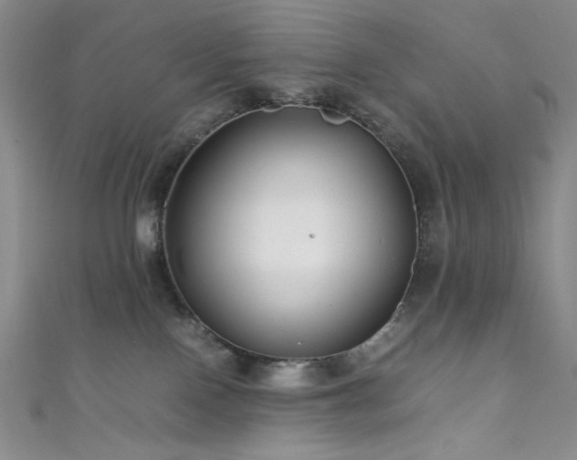 X0000111840090200907231417