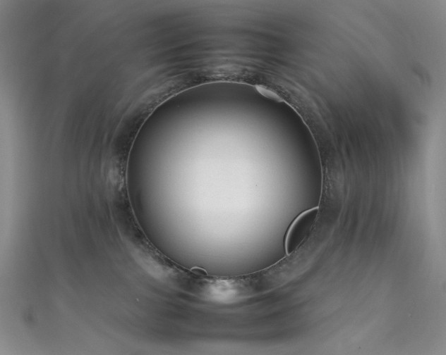 X0000111840091200907231417