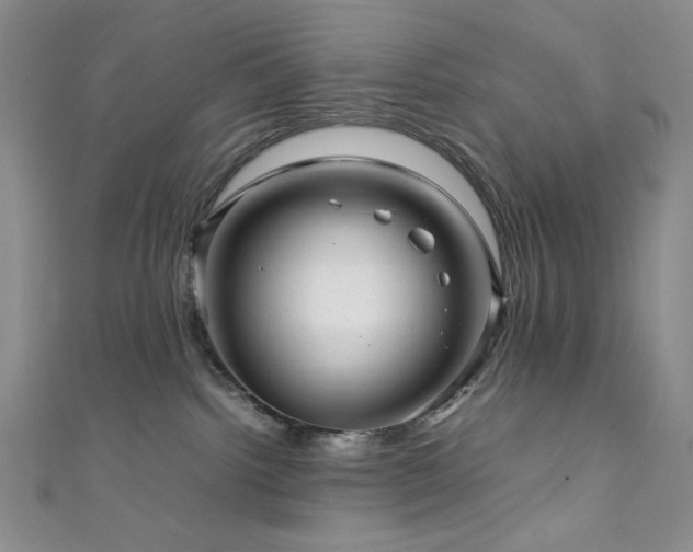 X0000111840092200907231417