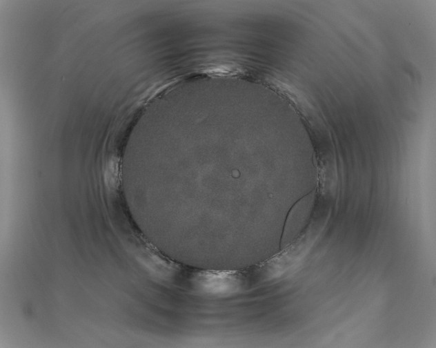 X0000111840093200907231417