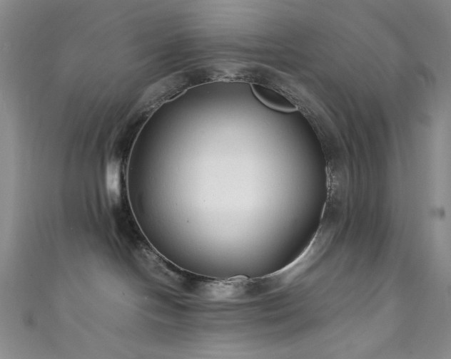 X0000111840094200907231417