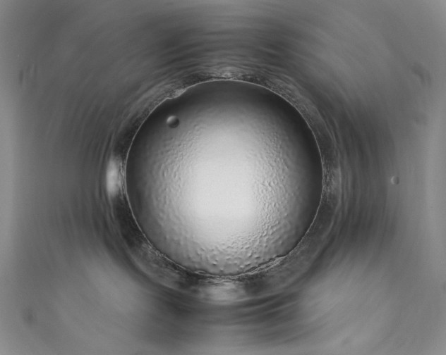 X0000111840095200907231417