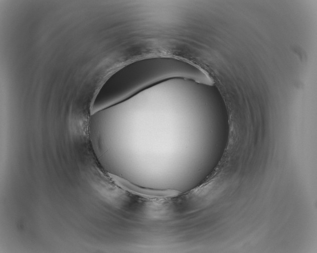 X0000111840096200907231417