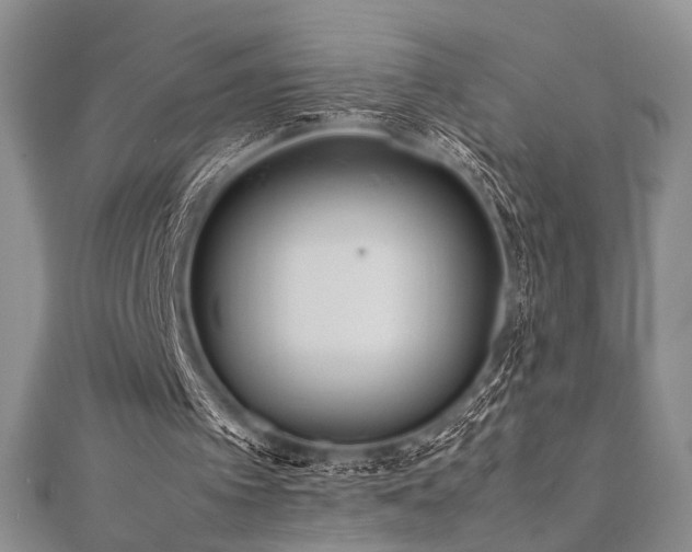 X0000111840097200907231416