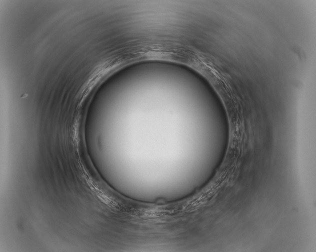 X0000111840098200907231416