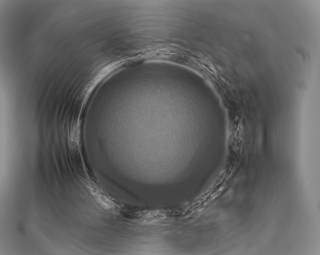 X0000111840100200907231416