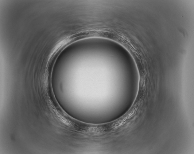 X0000111840101200907231416