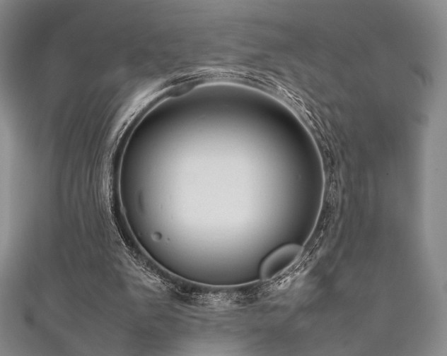 X0000111840103200907231416