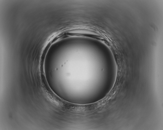 X0000111840104200907231416