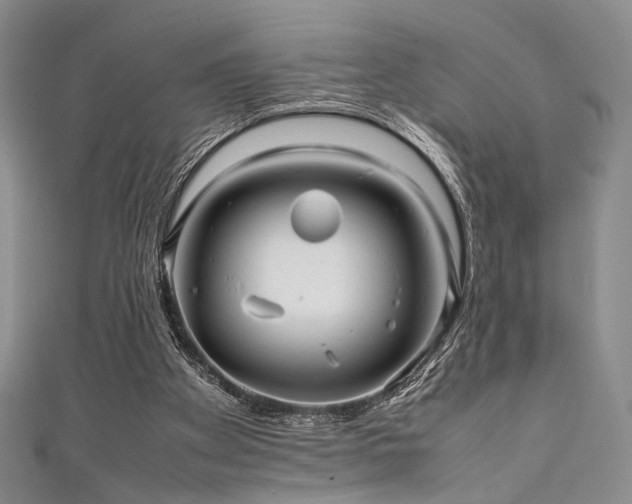 X0000111840105200907231416