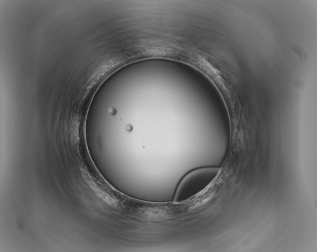 X0000111840106200907231416