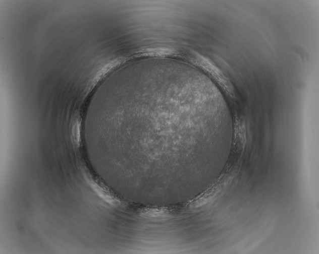 X0000111840110200907231416